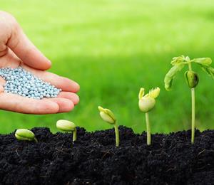 科技特派员助力乡村振兴