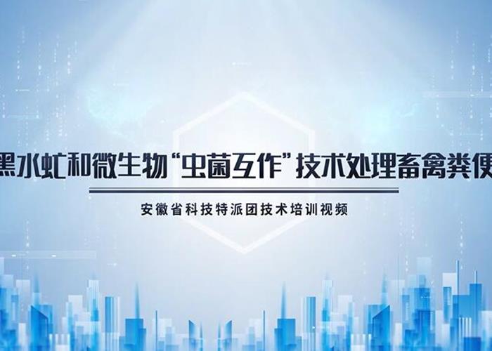 黑水虻和微生物“虫菌互作”技术处理畜禽粪便技术