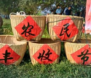 习近平向全国广大农民和工作在“三农”战线上的同志们致以节日祝贺和诚挚问候