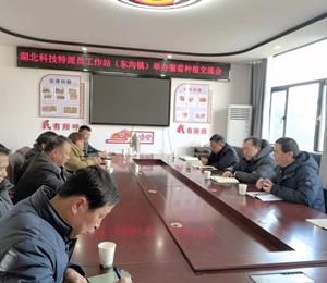 湖北科技特派员工作站（东沟镇）举办葡萄种植交流研讨会