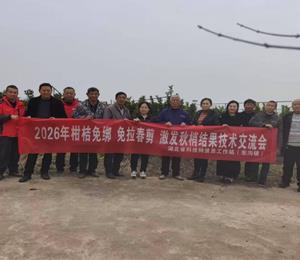 梁子湖区科技特派员进基地 传经送技促增收——柑橘免绑免拉春剪技术交流会顺利举办